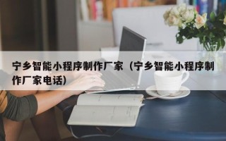 梧州宁乡智能小程序制作厂家（宁乡智能小程序制作厂家电话）